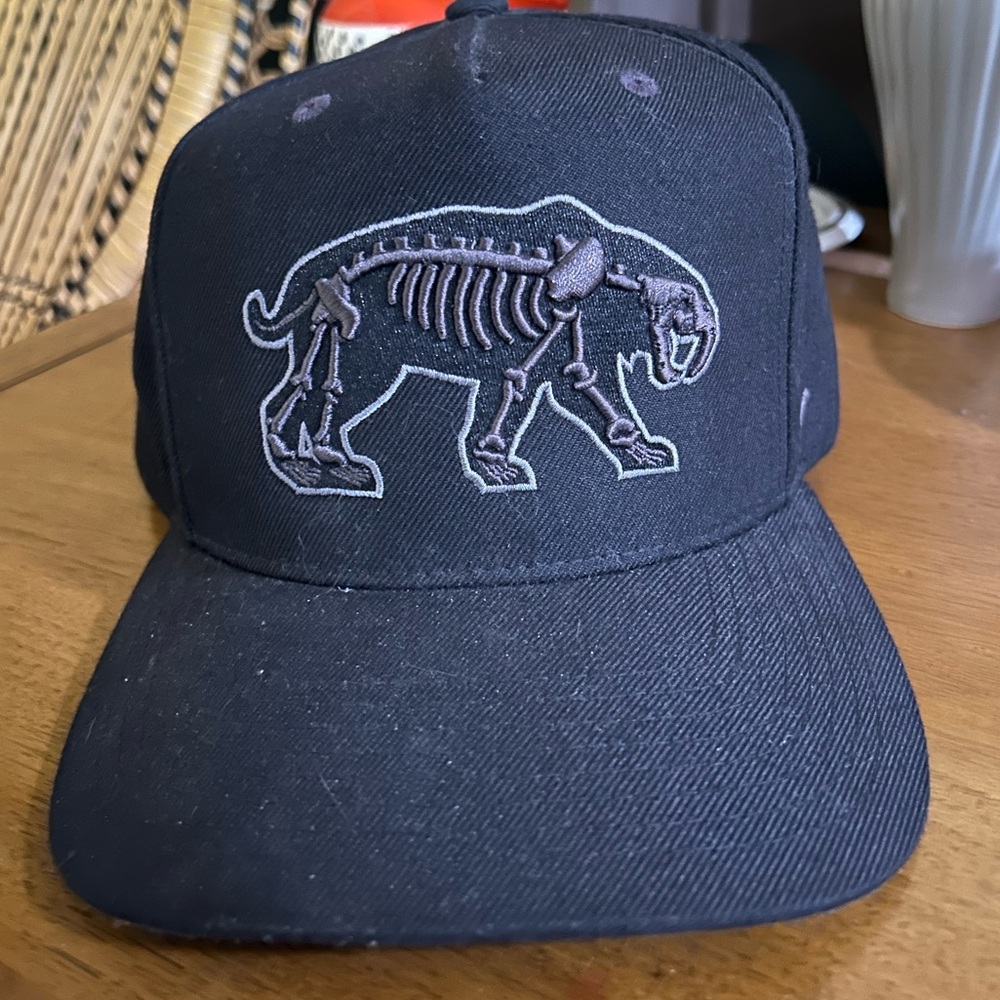 Nashville Predators Hat